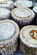 Log to split wood products - boissec.com